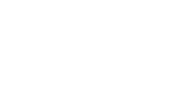 LServis